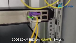 Arista 및 Huawei Switch의 100G BIDI 80KM 1280/1300nm