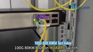 Arista 및 Hauwei 스위치의 100G BIDI 80KM